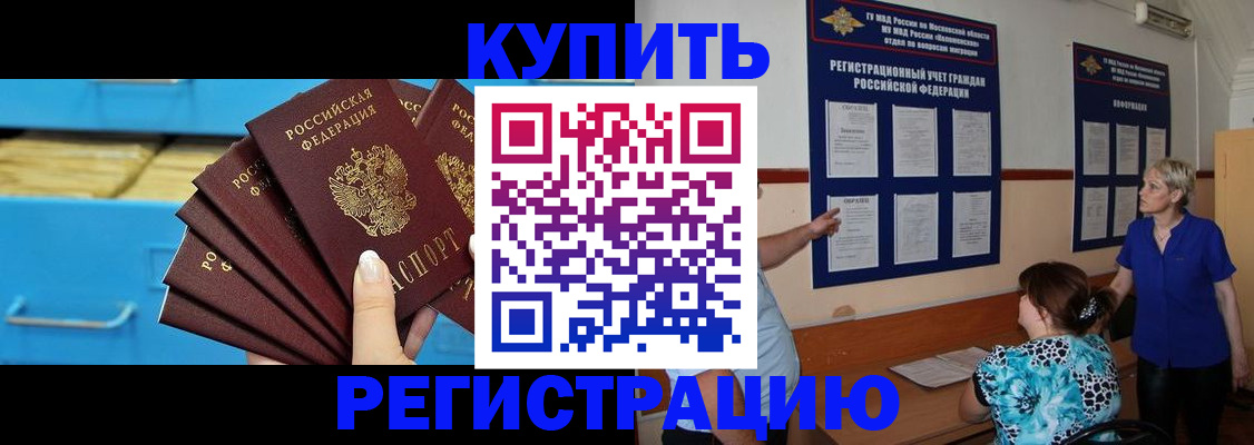 прописка гарантия в Светлогорске